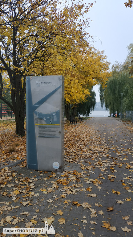 Jesień w Chodzieży