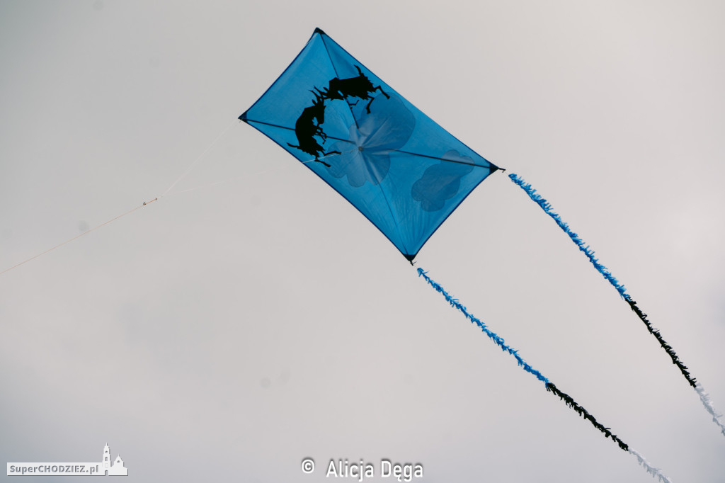 Festiwal Latawców w Chodzieży