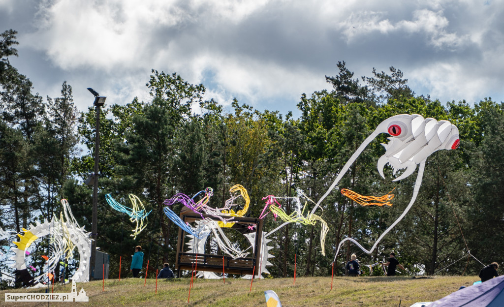 2. Międzynarodowy Festiwal Latawców w Chodzieży