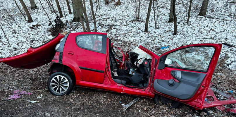 fot. OSP Rogoźno
