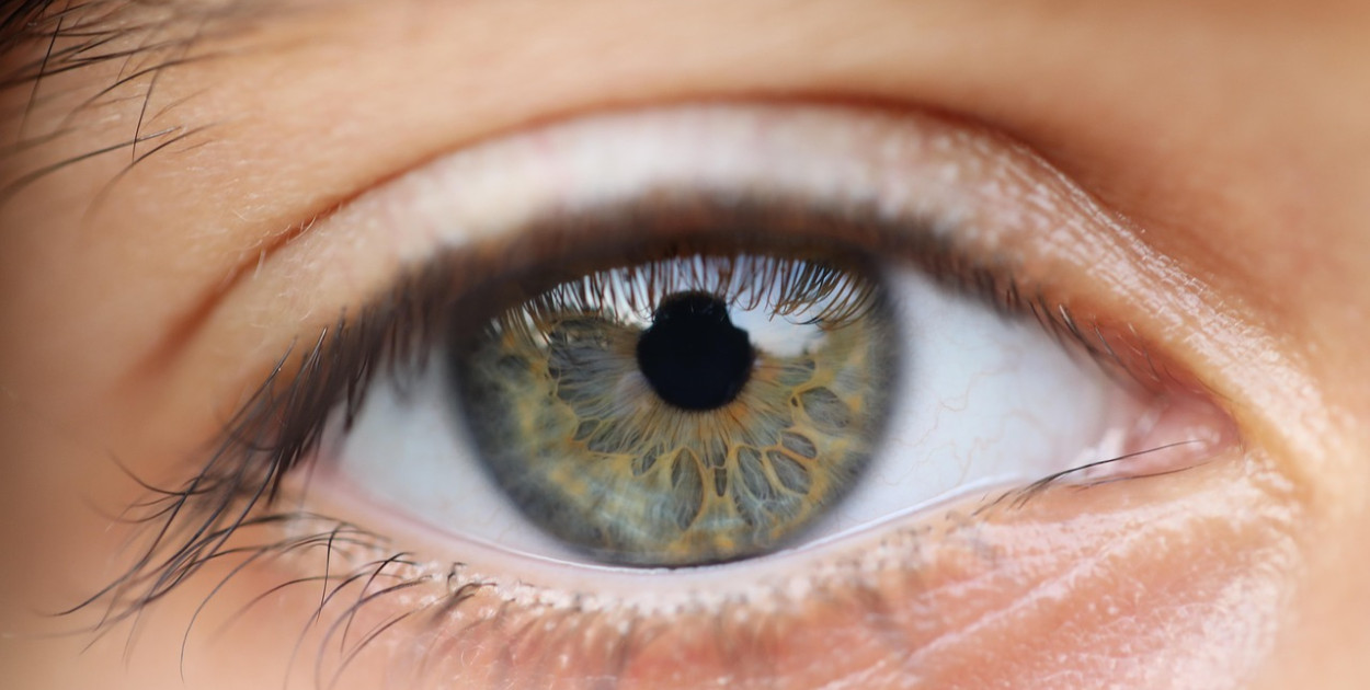 Image by Jonas Zareinia from Pixabay