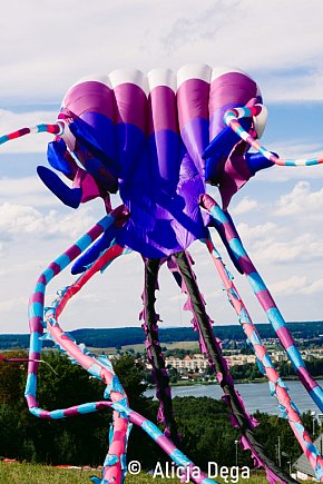 Festiwal Latawców w Chodzieży-162