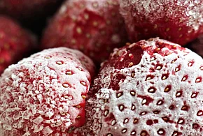 Salmonella w truskawkach z Biedronki. GIS ostrzega przed tą partią-11426