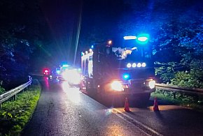 Nocna tragedia na drodze. W wypadku pod Chodzieżą zginął 17-latek-11654
