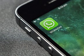 WhatsApp się zmienia. Czy aplikacja będzie płatna?-11697