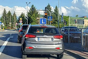 Egzamin na prawo jazdy będzie inny. Od 1 lipca nowe zasady-11729