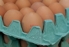 Salmonella na jajach znanej marki. Nie jedz, jeśli masz je w lodówce!-11790