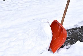 Ten obowiązek może wreszcie zniknąć. Sejm rozważa zmianę przepisów-12656