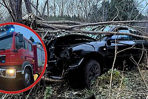Groźny wypadek w Nadolniku! Auto wylądowało na drzewie po szalonym wyprzedzaniu-12713