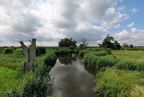 Co dalej z nowym parkiem narodowym? Minister klimatu zdradza plan po wecie-12774
