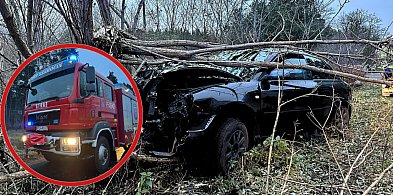 Groźny wypadek w Nadolniku! Auto wylądowało na drzewie po szalonym wyprzedzaniu-12713